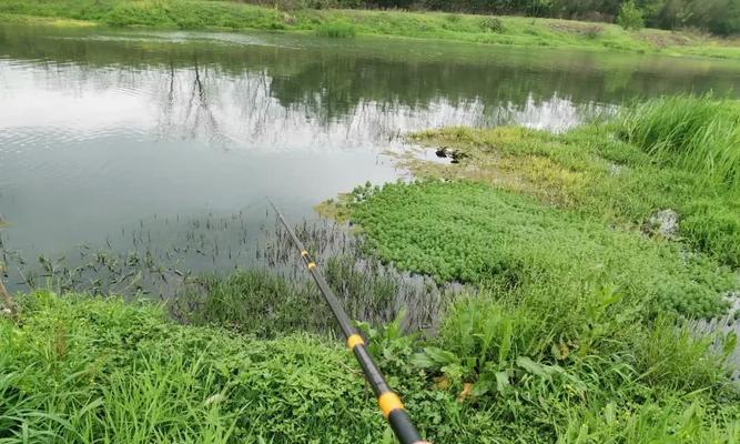 以冰钓找鱼窝的技巧规律（冰钓技巧解析及实践指南）  第3张