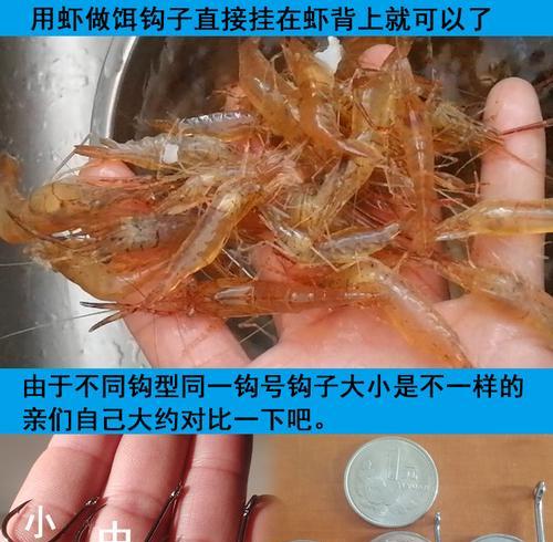 提升钓鱼技巧的串钩鱼钓宝典（实用技巧让你成为高手）  第2张