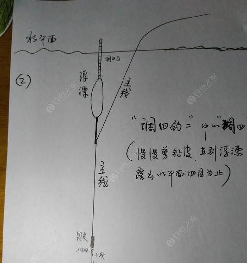 垂钓大师的调漂技巧（掌握这些技巧，钓鱼更得心应手）  第2张