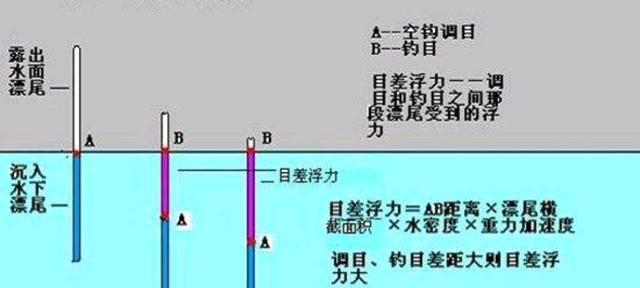 垂钓技巧（掌握调鱼漂的关键技巧，提升垂钓成功率）  第1张