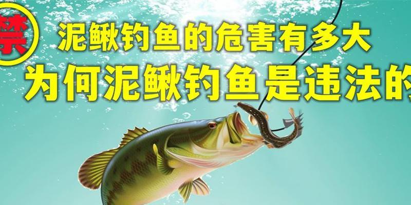 垂钓泥鳅的技巧与心得（掌握泥鳅垂钓的关键，享受放松休闲的乐趣）  第3张