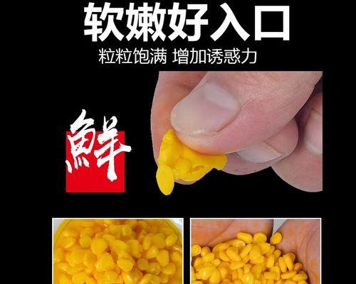 垂钓青鱼的饵料选择技巧与选位（提高垂钓青鱼的成功率，掌握饵料和选位的关键）  第1张