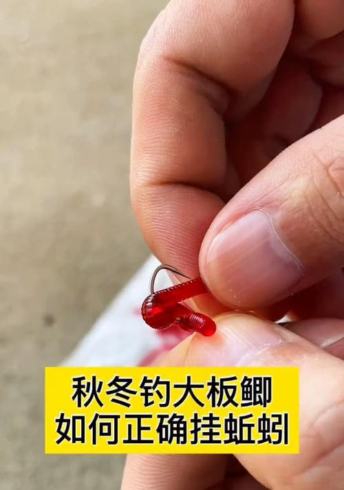 垂钓深水大板鲫的绝佳技巧（掌握垂钓深水大板鲫的必备技巧）  第1张