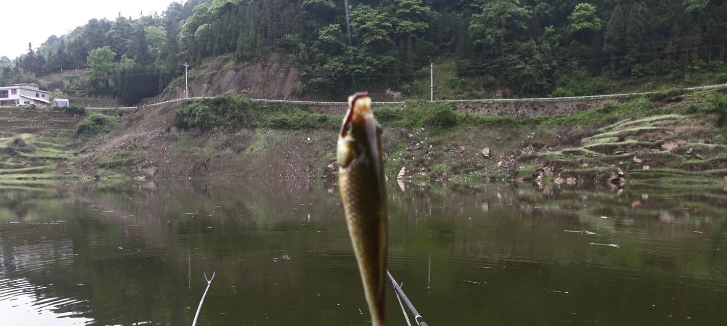 钓鱼技巧大揭秘（春天阴天闷热钓鱼，这些技巧帮你收获满满）  第1张