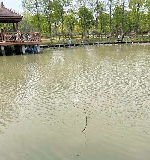 春雨中的钓鱼技巧（春天阴雨天气下钓鱼的技巧与经验分享）  第2张