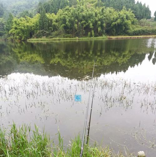 春夏雨天钓鱼技巧（钓鱼技巧，让雨天也能畅快垂钓）  第1张