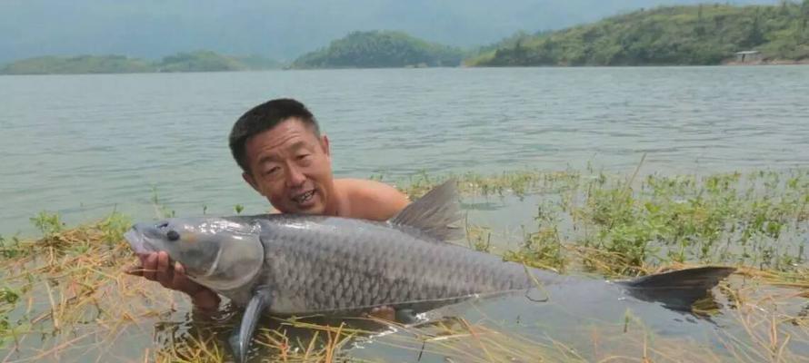 掌握打窝技巧，钓得满篮鲤鱼（以配方野钓鲤鱼为主，技巧助你大获成功）  第2张