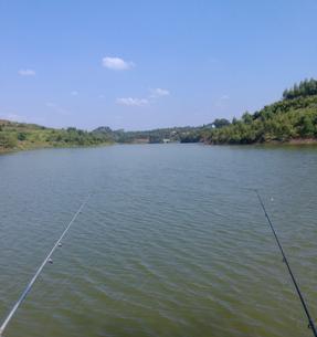 大岙水库钓鱼技巧纸（揭秘大岙水库钓鱼技巧，让你轻松钓到丰收）  第2张