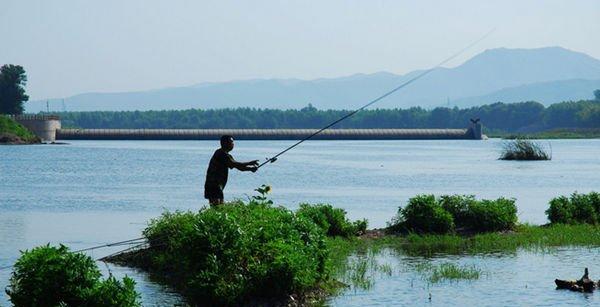 大风天气钓鱼技巧教程（应对大风天气，钓鱼技巧让你事半功倍）  第3张