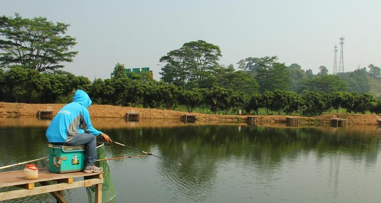 大风天气野钓鲤鱼技巧（应对大风天气，提高钓鲤鱼成功率）  第2张