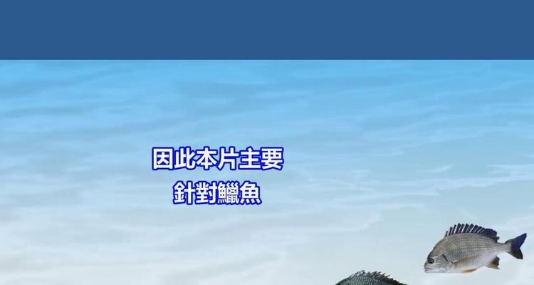 钓鱼技巧与标点的要点（提升钓鱼技巧关注标点技法）  第3张