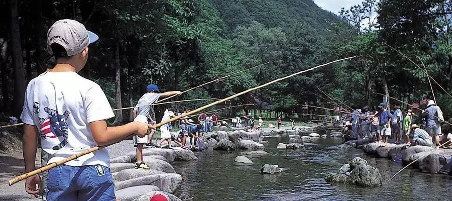 钓鱼的定律与技巧（掌握钓鱼窍门，提高钓鱼技能）  第3张