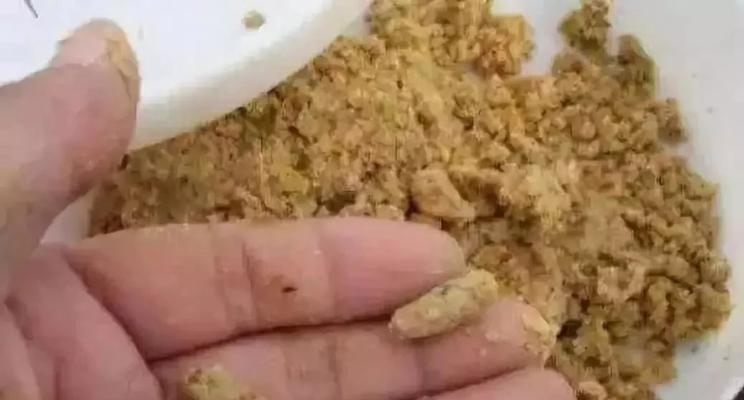 秋季钓鱼饵料搭配技巧（挑选合适的饵料让你成为钓鱼高手）  第1张