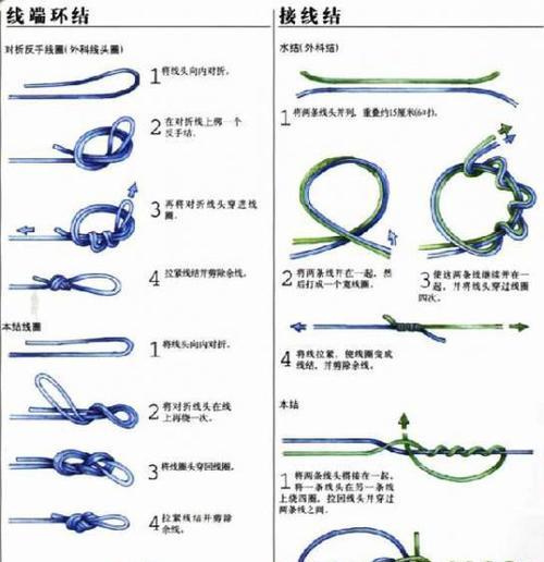 钓鱼技巧大揭秘（掌握这些技巧，让你成为钓鱼高手）  第3张