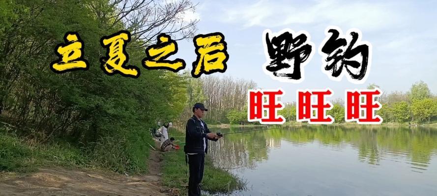 冬日钓鱼的技巧与口诀（寒冬中捕鱼的窍门与经验分享）  第1张