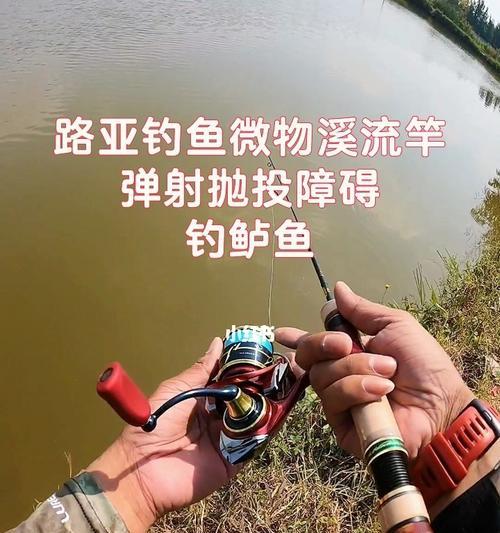 钓鱼的流程和技巧（掌握钓鱼的关键技巧，享受放松和乐趣）  第2张