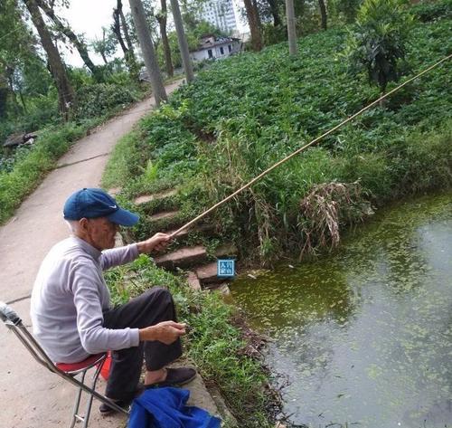 钓鱼技巧之提高钓鱼成功率的小窍门（一招制胜，钓鱼高手的必备技巧）  第3张