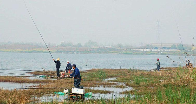 掌握半水钓鱼技巧（提高钓鱼效果的十五个关键技巧）  第3张