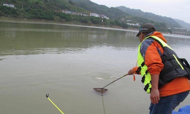 精通钓鱼钓草的技巧（享受自然乐趣，掌握成功捕获的秘诀）  第2张