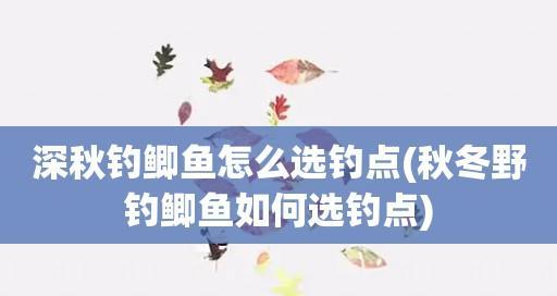 冬春枯水期钓鱼钓点选择技巧（寻找适合冬春枯水期钓鱼的地点关键）  第1张