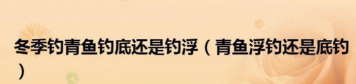 探秘钓鱼钓浮技巧，不走漂的窍门（轻松掌握，让你的钓鱼技术更上一层楼）  第2张