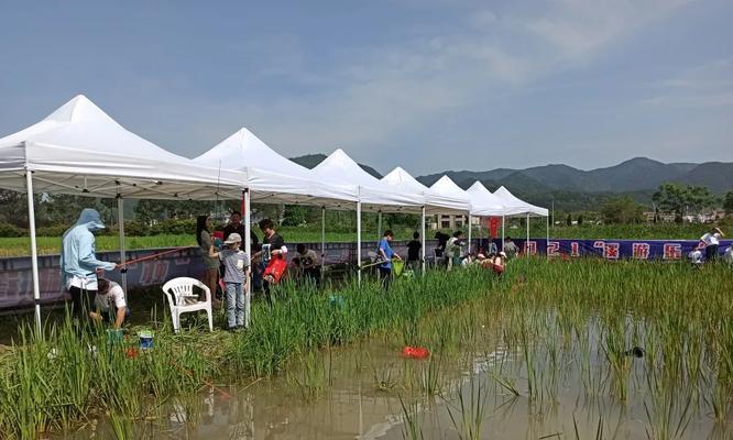 海岛钓鱼钓龙虾的技巧与方法（掌握海岛钓鱼，收获龙虾满盆）  第1张