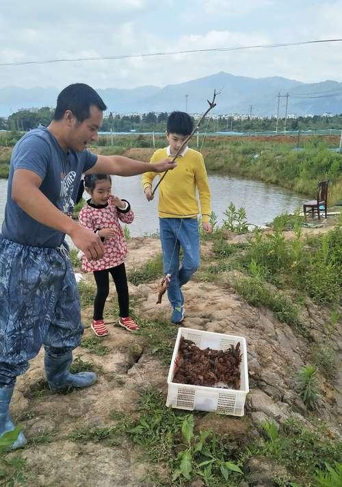 海岛钓鱼钓龙虾的技巧与方法（掌握海岛钓鱼，收获龙虾满盆）  第3张