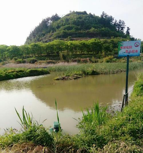 海岛钓鱼钓龙虾的技巧与方法（掌握海岛钓鱼，收获龙虾满盆）  第2张