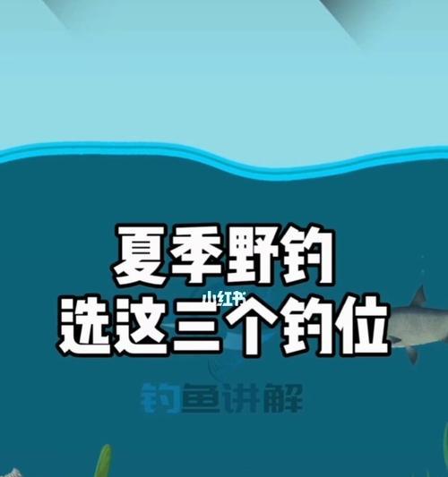 秋季钓鱼的最佳钓位选择技巧（钓鱼地点如何选？最适合的钓位在哪里？）  第1张