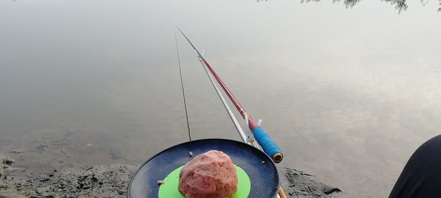 掌握钓鱼调几钓几的方法和技巧，提高钓鱼成功率（从钓位选择到调节浮漂，让你技高一筹）  第1张