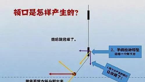 钓鱼调漂半水技巧教程（掌握调漂技巧，提升钓鱼效果）  第2张