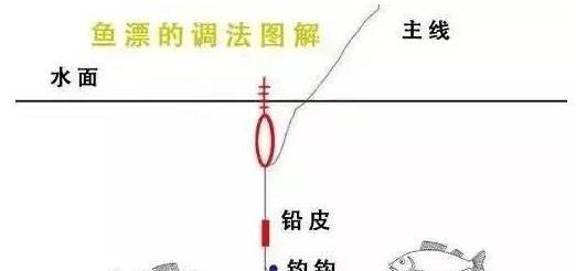 钓鱼调漂的方法与技巧（提高钓鱼技术，调整漂浮姿势）  第3张