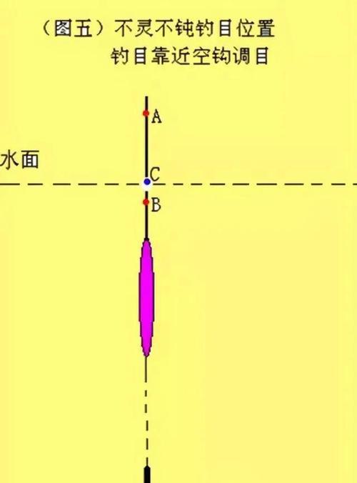 钓鱼调漂钓底技巧教学（掌握调漂钓底的关键技巧，提高钓鱼成功率）  第3张