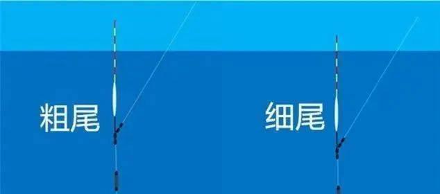 钓鱼技巧大揭秘（掌握调漂技巧，提升四钓二效果）  第1张