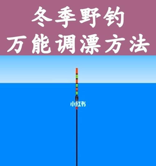 钓鱼调漂技巧新手教学（钓鱼调漂的基本步骤和关键技巧）  第2张