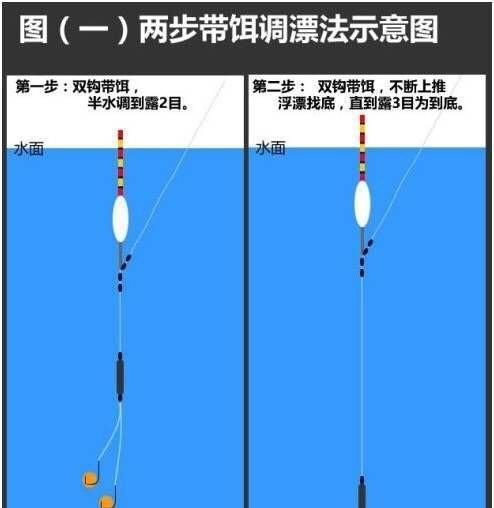 钓鱼调漂技巧的最佳时间（钓鱼调漂技巧的时间选择与掌握）  第2张