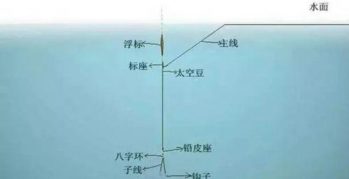 钓鱼调漂口诀技巧解析（钓鱼调漂的关键技巧，助你一网打尽）  第3张