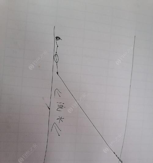 钓鱼技巧大揭秘（掌握调漂与抛竿技巧，轻松捕获丰收）  第1张