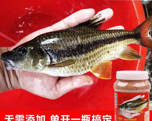 钓鱼饵料调法技巧（掌握饵料搭配，提升钓鱼成功率）  第3张