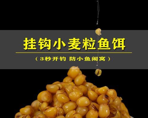 抛竿钓鱼饵料挂钩技巧（掌握正确的饵料挂钩技巧，成为优秀的钓鱼者）  第1张