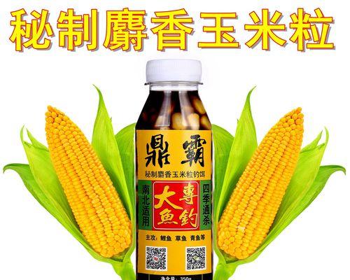 掌握钓鱼饵料技巧，提升钓鱼成功率（提高鱼儿上钩的十五个技巧）  第1张