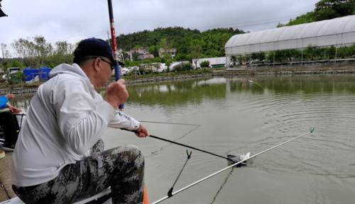 钓鱼发烧友的冠军技巧（揭秘冠军选手的钓鱼绝技，让你成为钓鱼高手！）  第3张