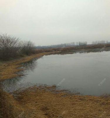 冬季钓鱼的技巧传统钓（冬季寒冷中的温暖娱乐，传统钓鱼技巧在冬天的应用）  第2张