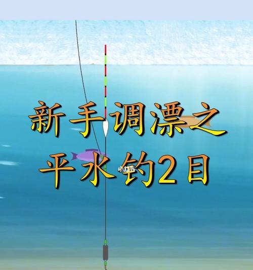 掌握钓鱼技巧调漂的6步方法（钓鱼调漂，学会这6步，轻松提高钓鱼成功率）  第1张