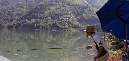 冬钓阳夏钓阴，钓鱼技巧大揭秘（寒冬求暖，炎夏避热，掌握正确钓鱼技巧，丰收双季！）  第2张