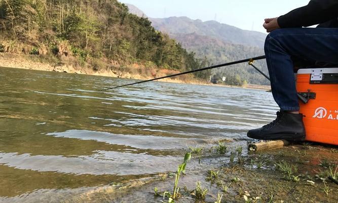 钓鱼技巧浮漂提竿（钓鱼技巧浮漂提竿的要领与技巧）  第2张