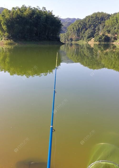 钓鱼技巧之浮漂信号（掌握浮漂信号，钓鱼技巧更上一层楼）  第2张