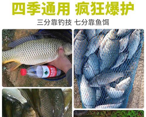 冬季钓鱼技巧与饵料配方（寒冬中的钓鱼乐趣，让您成为冰上的捕鱼大师！）  第2张