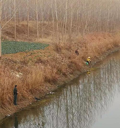 钓鱼技巧（快速掌握测水深方法，提升钓鱼成功率）  第1张