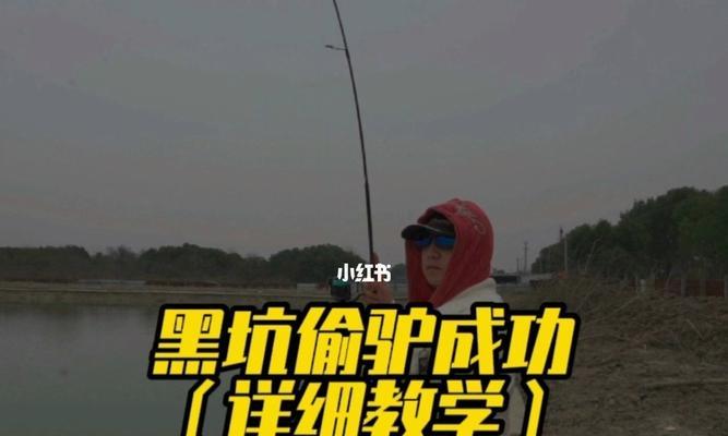 钓鱼技巧，上岸攻略（掌握关键技巧，成功上岸）  第1张